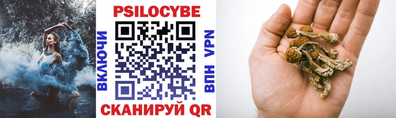 МЕГА зеркало  Змеиногорск  Псилоцибиновые грибы GOLDEN TEACHER 